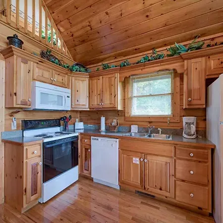 Villa Cubs Cove à Gatlinburg Extérieur photo