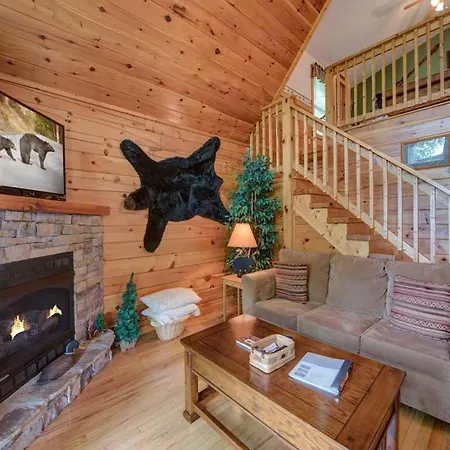 Villa Cubs Cove à Gatlinburg Extérieur photo