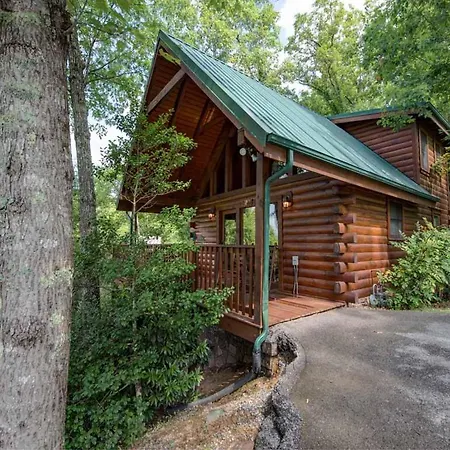 Villa Cubs Cove à Gatlinburg Extérieur photo