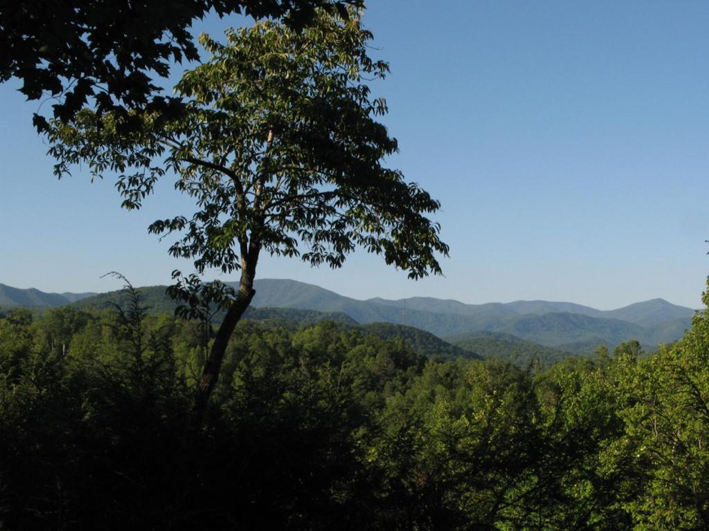 Hébergement de vacances Cubs Cove Gatlinburg